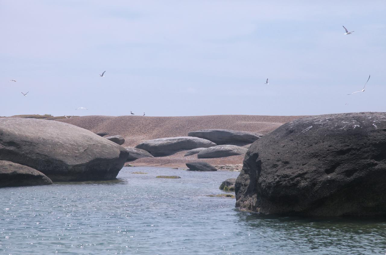 Artyom F-Marine Resort المظهر الخارجي الصورة